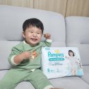 팸퍼스 터치 오브 네이처 팬티 5중피부보호디자인 팬티기저귀추천