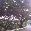 도깨비한의원 이미지