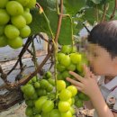 이본유치원 이미지