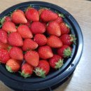 정평역셀프세차장 이미지