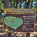 솔밭어린이집 | 가을 나들이 아이랑 놀기 좋은 장소│포항 송도 솔밭, 유아숲 체험원