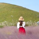(주)자유투어 | 🚗 제주도 프라이빗 투어 추천 킴스제주 단독 자유 투어 42,000원 — 지금 바로 할인 예약