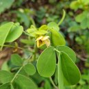 상화농장 이미지