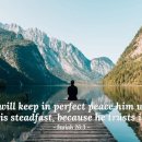 Verse of the day and prayer_260828 이미지