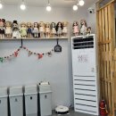 묘냥묘냥 이미지