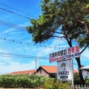 초정바베큐캠프 이미지