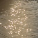 이루다토익어학원 | 강남토플학원 성인 유학 준비생 추천 후기