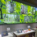 부산쇼핑관광센터 | 온라인투어 장가계 부산출발 쇼핑센터 후기 강매가 있을까? 라텍스 침향 보이차 공진당