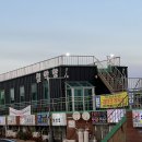 충청도횟집5호 | 속초 설악항 활어 회센터 5호 오복호 방문 포장 후기 [쥐치회, 성대회, 오징어회, 놀래미회, 영숙언니]