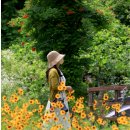 [3만원의장어]7월12일(토)수국이 만발한옥천3경 부소담악 불두화,수국등 여름꽃,둘레길과 블루베리체험 !! 이미지