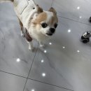 아띠네일 | [전주 신시가지] 최대 규모 네일샵 '아띠네일' 내돈내산 찐솔직한 후기