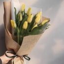 세기꽃집