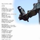 사니정원 이미지