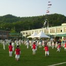 대동향교초등학교 이미지