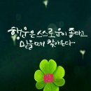 여수울로29번길 네이버블로그