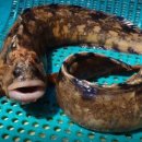 노을수산 이미지