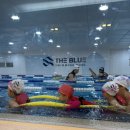 더블루스위밍풀 이미지