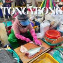 경상남도통영교육지원청 | 통영중앙시장 회포장 통영활어시장 시간 주차장 대방어 가격