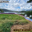 공인중개사 구희서사무소 이미지