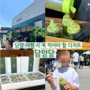담양아이스크림 | 담양 디저트맛집 담양당 대나무 아이스크림 후기(주차, 웨이팅, 후기)