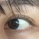 이마트24 대전판암삼정점 | [대전] 동구 판암동 한번 방문하면 무조건 단골 되는 샵 예쁘게, 혜영 대전동구속눈썹펌