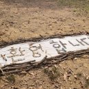 성균관숲유치원 이미지