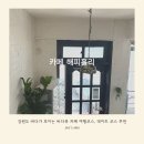 홀리코스 | 강원도 여행 코스, 데이트 코스 추천 바다가 보이는 반려동물동반가능카페 해피홀리 내돈내산 후기