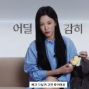 보그 카카오 검색결과