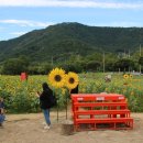 논공(대구) 이미지