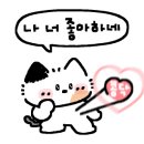 홍디디저트 이미지