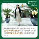 서울사이버대학교 상담심리대학원 이미지