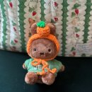 별별제주 | [후기] 내돈내산 제주 귤귤스토어 애월점 한정판 미피 구매 후기