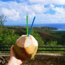 서윤의숲길 이미지