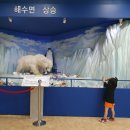 속초여행중에 폭우를 피해 아이와 화진포생태박물관 방문후기 고성 실내 가볼만한 곳 추천