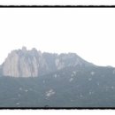 김진영행정사사무소 이미지