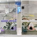 렙플로우