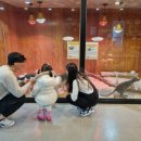 내서읍1320 이미지