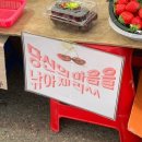 스튜디오 토푸 | 서공책 #29권 <이 겨울이 끝나 봄이 달려오면>