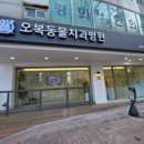 오복동물치과병원 네이버블로그