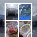 하모중앙로 | 광양 회 맛집 🐟[중마시장 회센터 포장 후기 + 초장집, 시장 구경 // 주차정보]