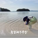 황포마을 세천 | 차박 캠핑 가능한 거제 황포해수욕장 방문기