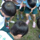 이화 유치원 이미지