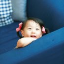 러블리안 이미지