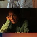 천화 이미지