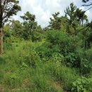 색달동-1 이미지