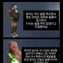 요이땅