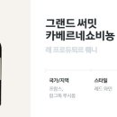 비노브라더스 이미지