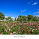 태화강국가정원 이미지