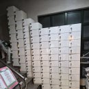 북어마을 | 성수 실내 데이트 길고양이마을 성수협력점 후기, 단순한 고양이카페가 아니에요!