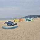 후포시장 이미지